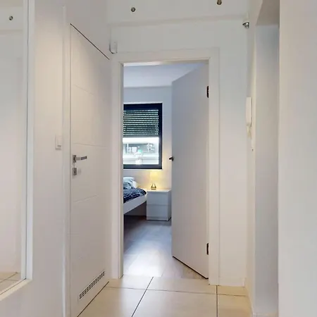 Fibra Grande * Rybnik (Silesia)