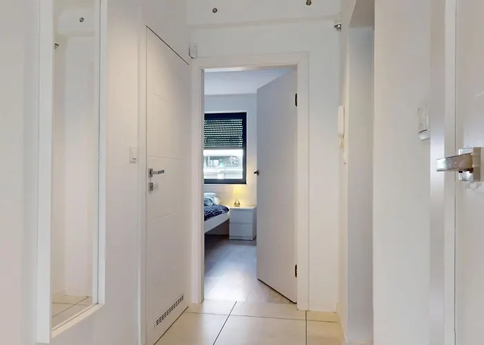 Fibra Grande * Rybnik (Silesia)