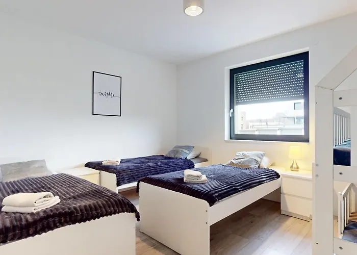 Fibra Grande * Rybnik (Silesia)